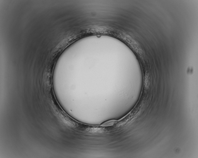 X0000096630449200802261208