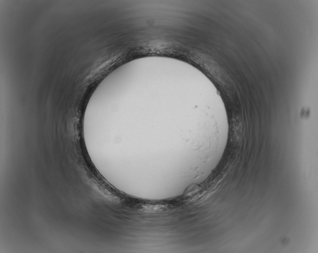 X0000096630450200802261208