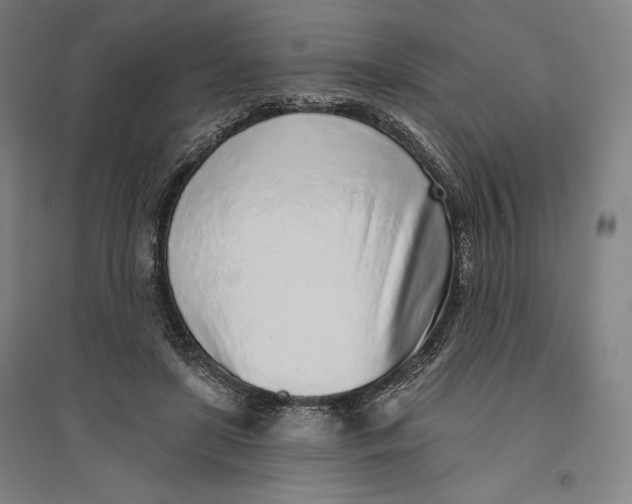 X0000096630451200802261208