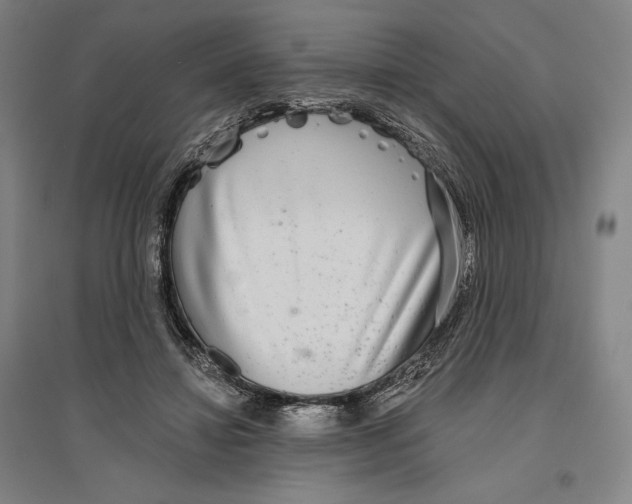 X0000096630452200802261208