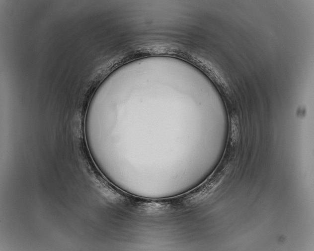 X0000096630453200802261208