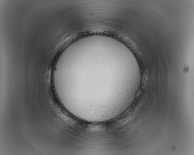 X0000096630454200802261208