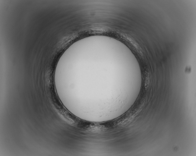 X0000096630455200802261208