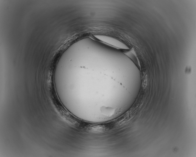 X0000096630456200802261208