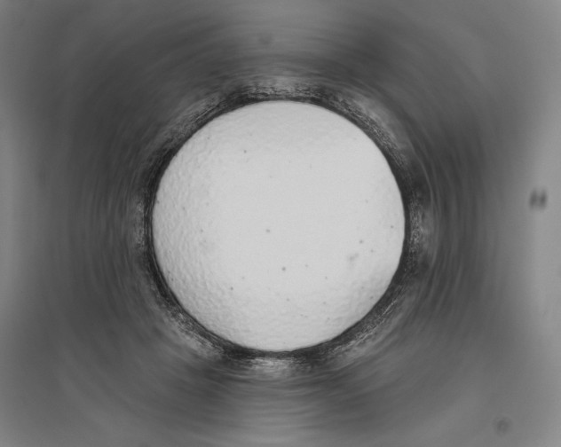 X0000096630457200802261208