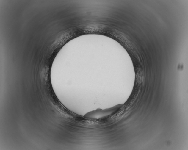 X0000096630458200802261208