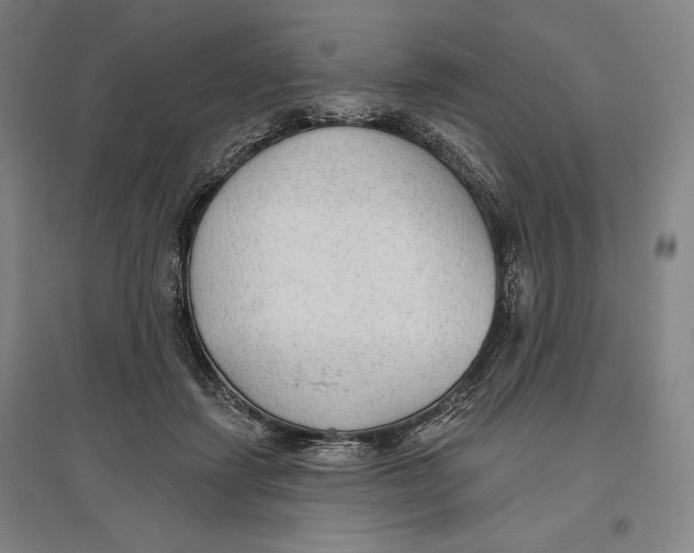 X0000096630459200802261208