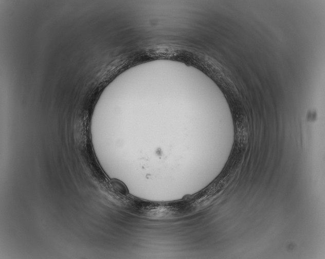 X0000096630460200802261208