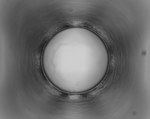 X0000096630461200802261208