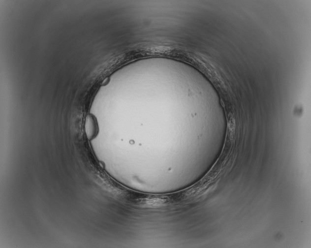 X0000096630462200802261208