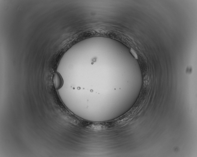 X0000096630464200802261208