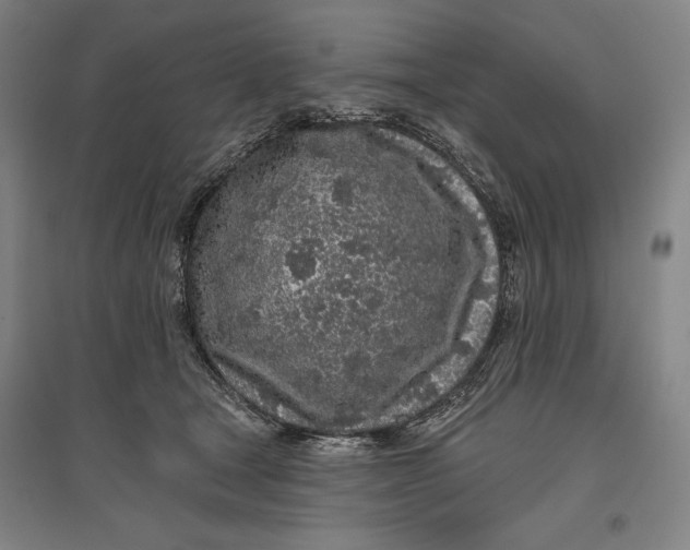 X0000096630465200802261208