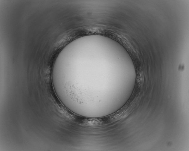 X0000096630466200802261208