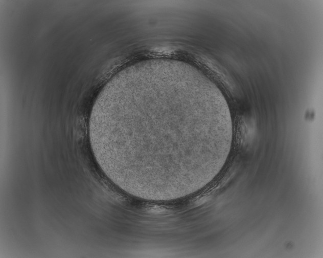 X0000096630467200802261208