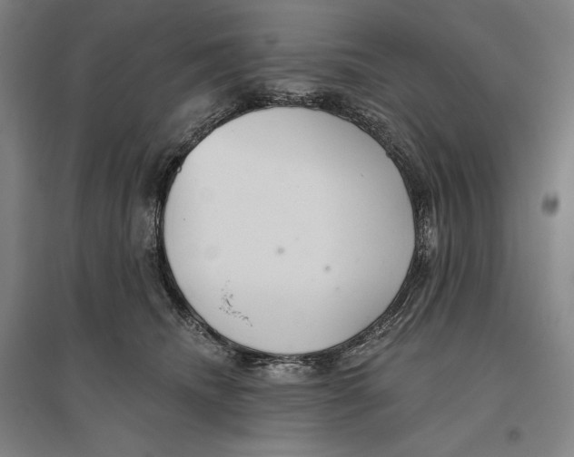 X0000096630468200802261208