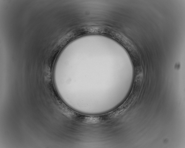 X0000096630469200802261208