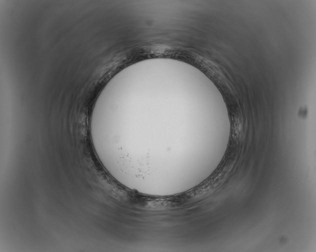 X0000096630470200802261209