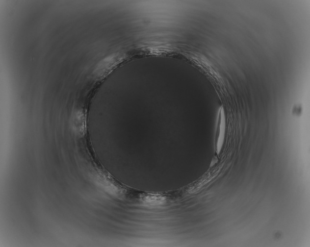 X0000096630471200802261209