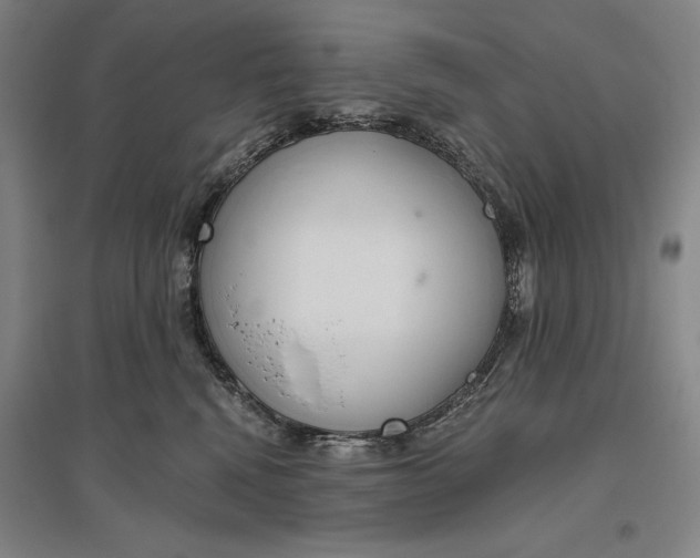 X0000096630472200802261209