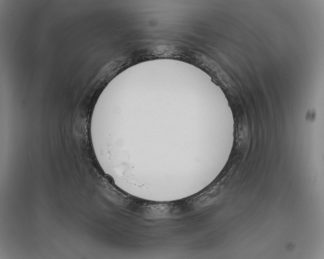 X0000096630473200802261209