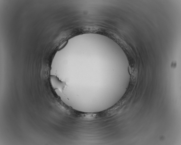 X0000096630474200802261209