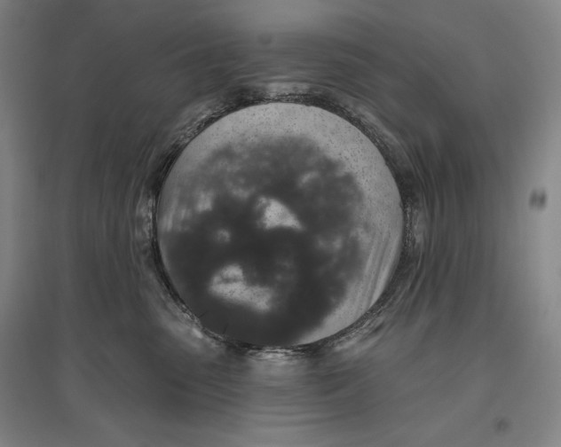 X0000096630475200802261209