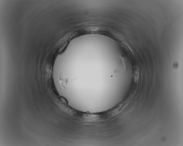 X0000096630476200802261209