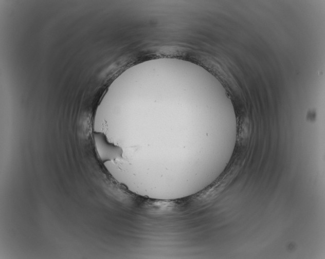 X0000096630478200802261209