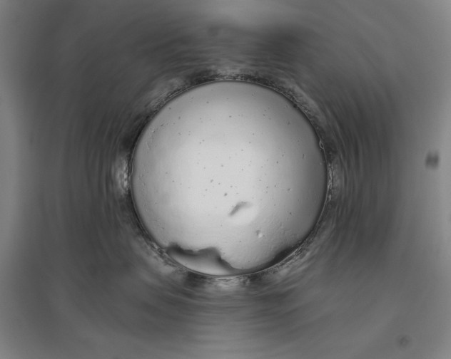 X0000096630479200802261209