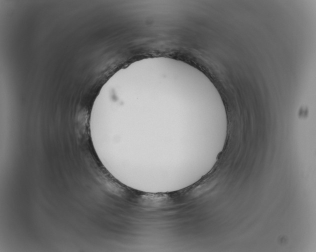 X0000096630480200802261209