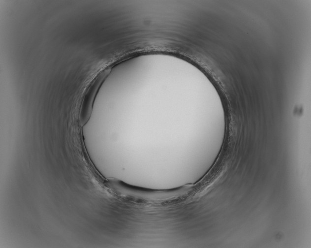 X0000096630481200802261208