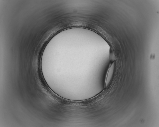 X0000096630482200802261208