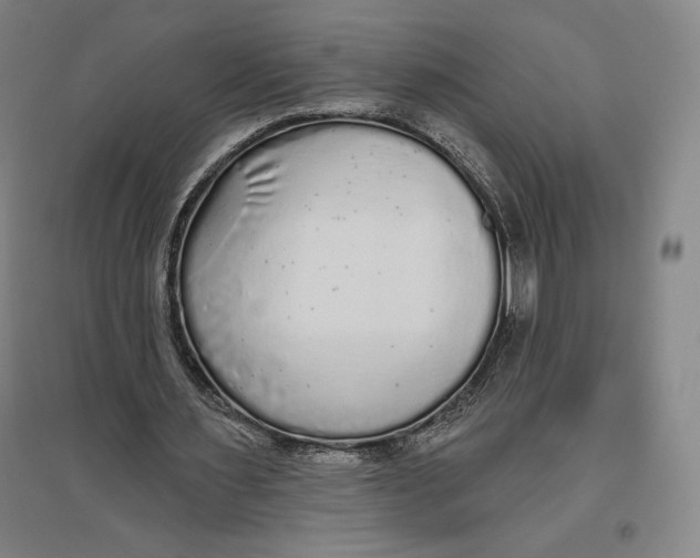 X0000096630483200802261208