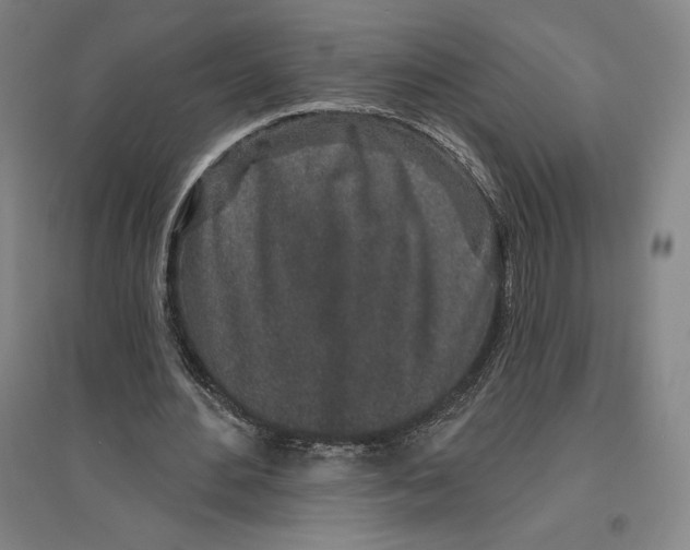 X0000096630484200802261208