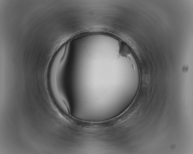 X0000096630485200802261208