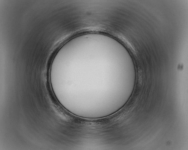 X0000096630486200802261208