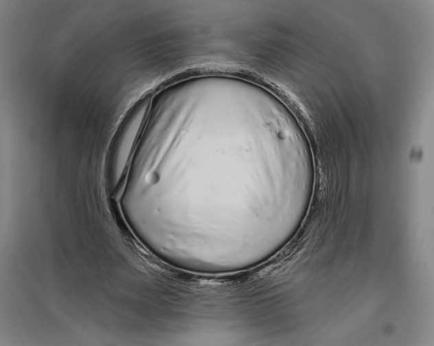 X0000096630487200802261208