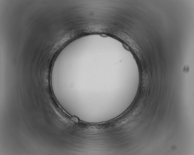 X0000096630489200802261208