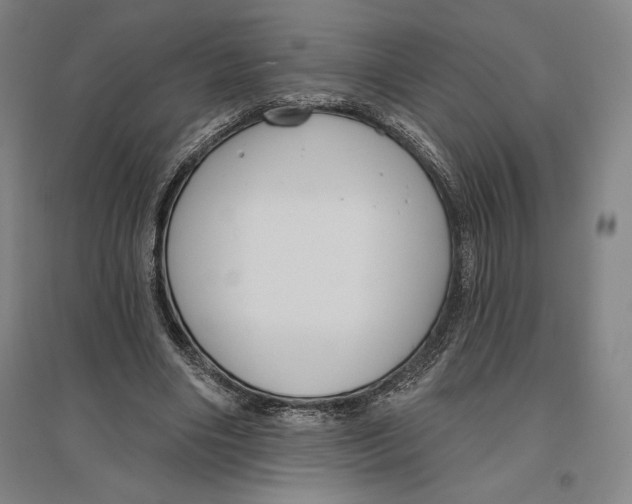 X0000096630490200802261208