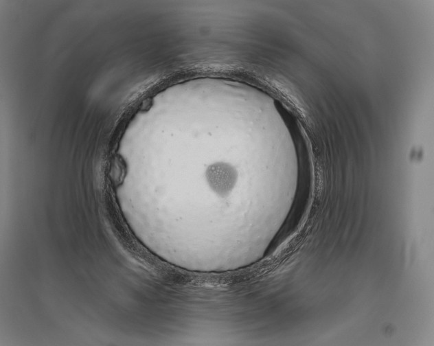 X0000096630491200802261208