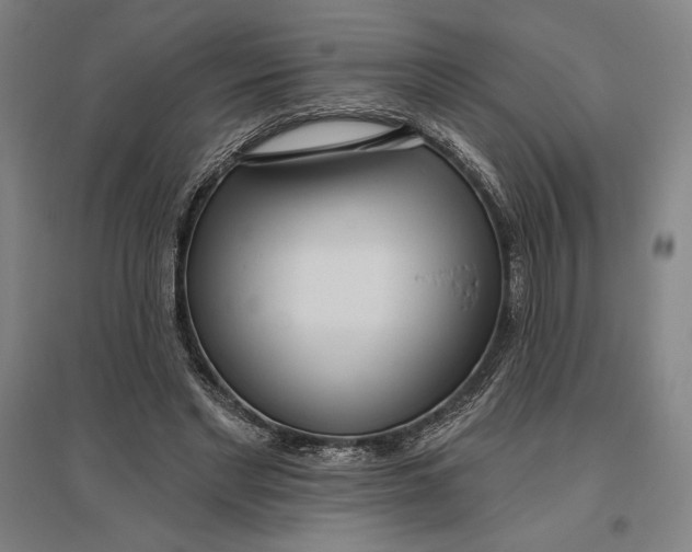 X0000096630493200802261208