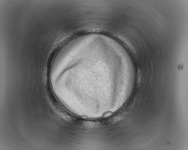 X0000096630494200802261208