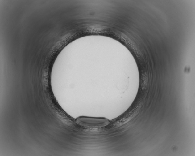 X0000096630497200802261208