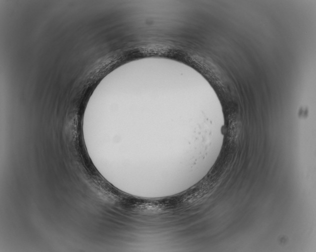 X0000096630498200802261208