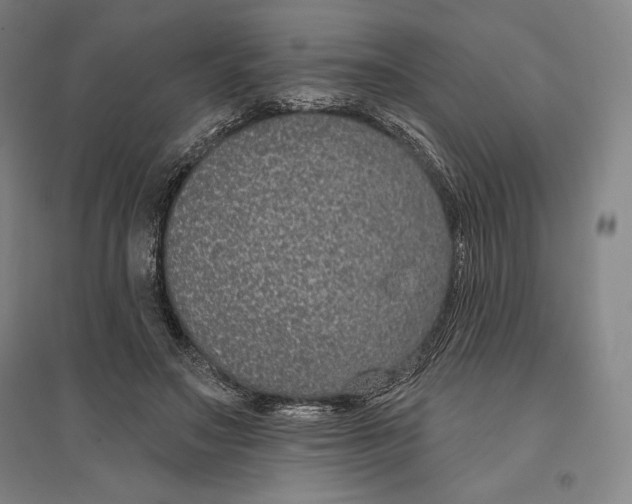 X0000096630499200802261208