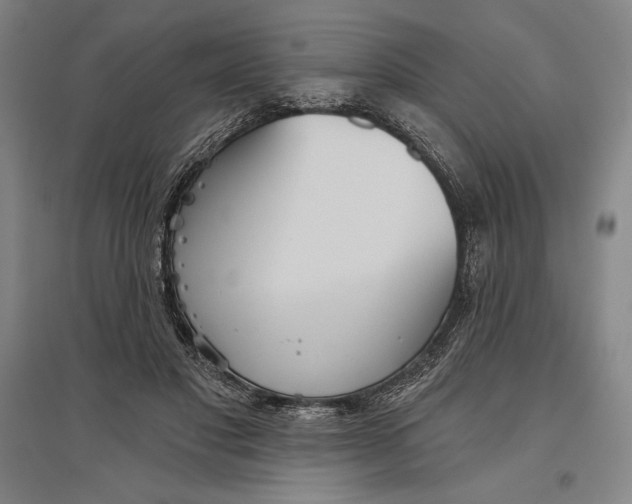 X0000096630501200802261208