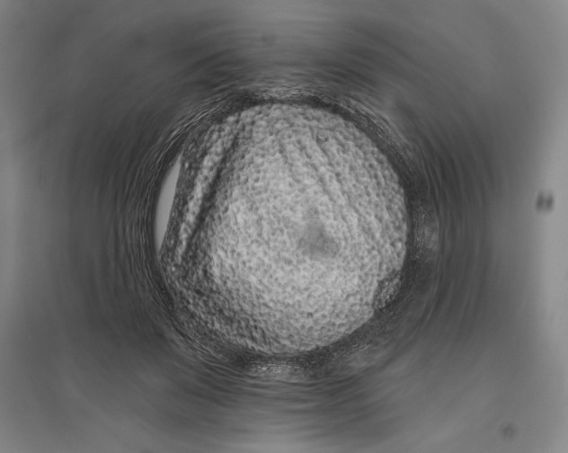 X0000096630503200802261208