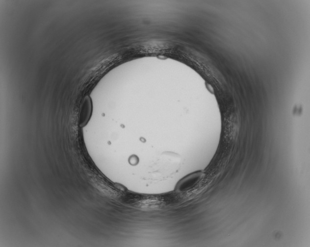 X0000096630505200802261208