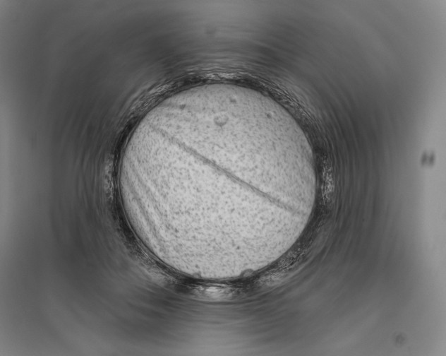 X0000096630506200802261208