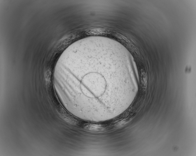 X0000096630507200802261208